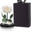 Glass Dome Vase With Single Tall rose White
