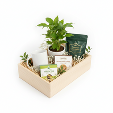 Green Serenity Wellness Gift Box
