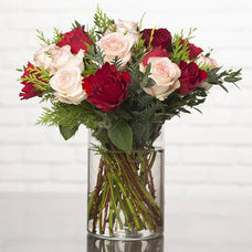 Winter Roses
